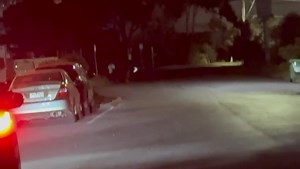 3.5K views · 47 reactions | Boys will be boys 藍藍 | Rodger Anthony Olidele | Facebook