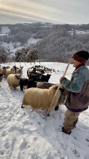 632K views · 30K reactions | Pe vârful unui deal unde vântul șoptește...