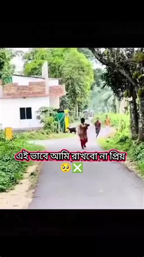 হুম প্রিয়! — সম্মান ও যত্ন সহকারে রাখার উপায়