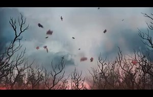 Спросите у осени (2016) — ТВ-ролик №2 — Кинопоиск