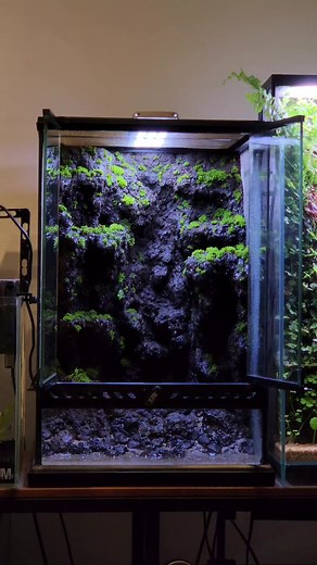 Exoterra 30x30x45cm Waterfalls Terrarium Overview