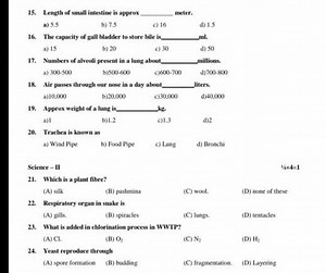 What is added in chlorination process in WWTP?
