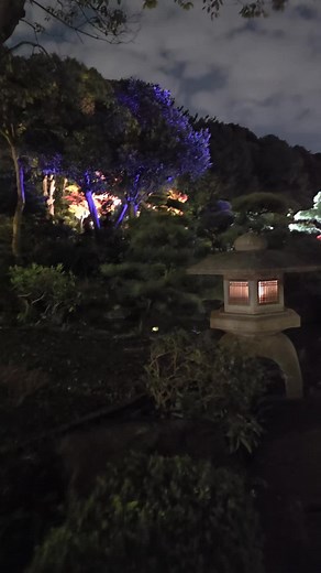 美浜灯籠祭りの魅力と幕張海浜公園の楽しみ方