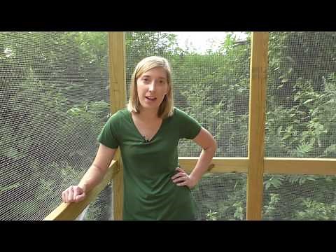 Most Efficient Chicken Coop Tour