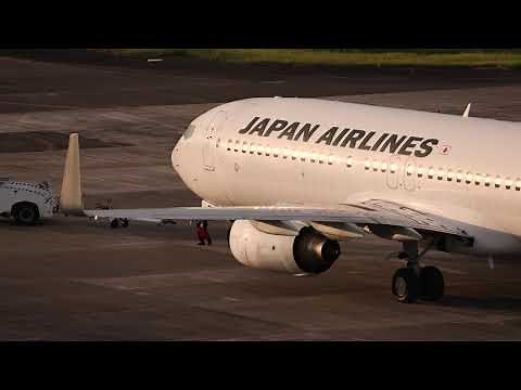 やっと撮影できました南紀白浜空港: JAL JL218便 羽田行き B737-800型機 JA318J 2021年07月23日