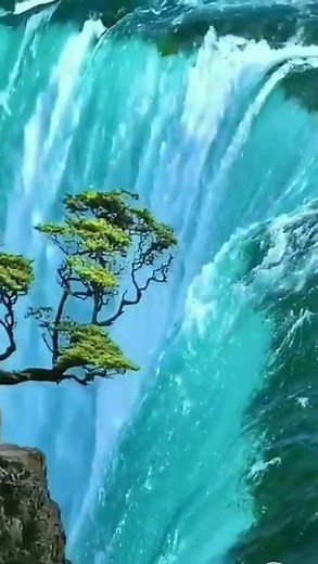 beautiful nature status 🌹 nature whatsapp status 🏵️