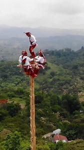 Merdeka #indonesia #Merdeka #lomba #17agustus | Bob junior