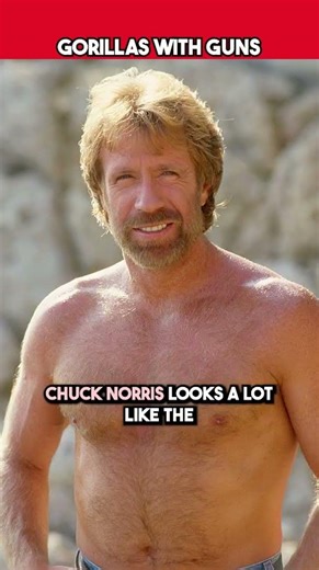 Chuck Norris Vs Gorillas With Guns #rip #chucknorris