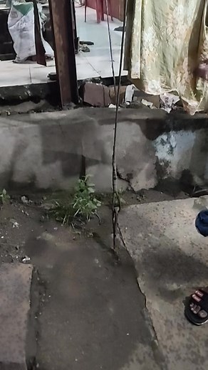 Alok Sharma on Reels