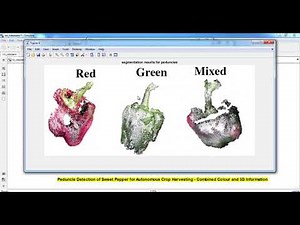 Color Detection in Image Matlab Code Projects