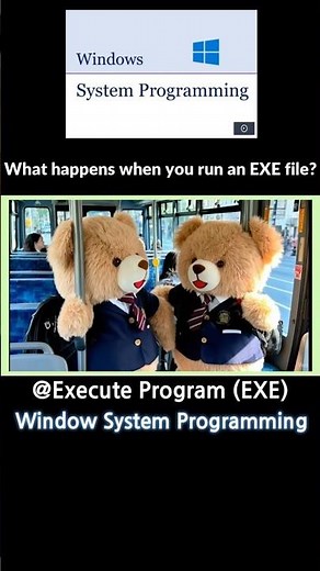 From Hard Disk to RAM: What happens when you run an App? 🐻 #coding #programming #windowprogramming