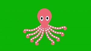 Octopus Swimming Green Screen Background 4k Stock Footage Video (100% Royalty-free) 1106727845 | Shutterstock