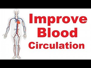 11 Easiest Ways To Improve Blood Circulation In Body
