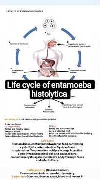 Life cycle of entamoeba histolytica #biology #parasitology