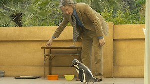 Steve Coogan almost gets outshone by a charismatic penguin in heartwarming film based on a true story