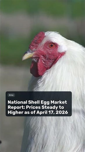 National Shell Egg Market Report: Prices Steady to Higher as of April 17