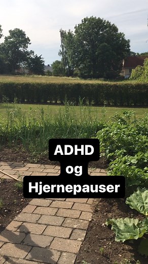 ADHD OG HJERNE-PAUSER: - Når du har ADHD er hjernen konstant i arbejde (Bevidst og ubevidst) Fordi dine sanser er så følsomme og sensitive. Jeg kalder det “popcorn-hjerne”, fordi der popper hele tiden tanker op. Det vil det også gøre, hvis du sad her i urtehaven, ligesom jeg. Det kan være en bestemt fugl du hører og genkender. Eller en lyd du ikke kender, men gerne vide vide mere om. Det er indtryk som - “Nå nu tænder naboen græsslåmaskinen”! “Pis det irriterer mig for fugle lyden”! Lad det pass