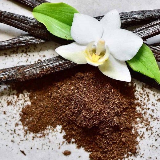 How to Make Vanilla Powder from scratch - Alphafoodie