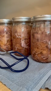 Pressure canning meat is easy but time consuming. Happy I know how to can meat especially when accidents happen like this! Canning meat• Cut into one inch cubes • pack into clean jars• salt - 1 tsp for quarts, 1/2 tsp for pints• Wipe rims • Add lids and rings @FORJARS lids are superior 🙌🏻 use code FAITHFILLED to save at checkout • Pressure can 75 minutes for pints, 90 minutes for quarts• Allow to cool for 24 hours on a towel covered counter or table• Enjoy! #pressurecanning #canningmeat #shelf
