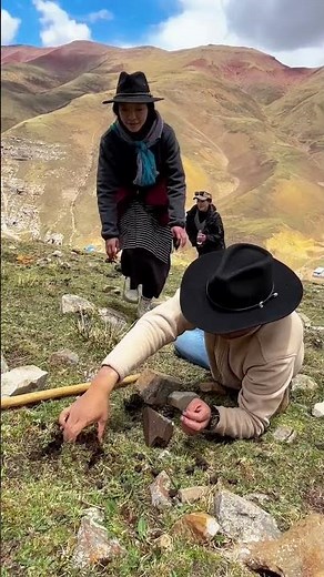 挖虫草把火眼金睛练出来了，不知道今年能不能追上邻居家 #shorts