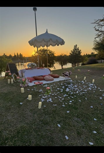 phoenixyazpicnics on TikTok