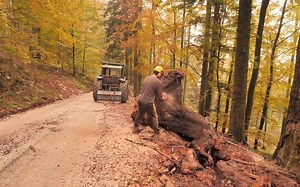 【传统木屋】24.巨型树根桌子 Making a Huge Tree Stump Table For the Log Cabin _ Off Grid LOG