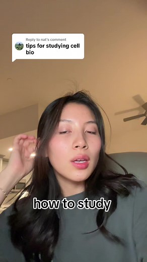 Effective Study Techniques for Biology Students