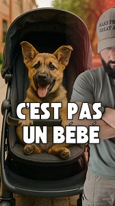8.6K views · 129 reactions | L’anthropomorphisme est un poison pour...