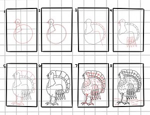 Turkey How to Draw Guide - Etsy