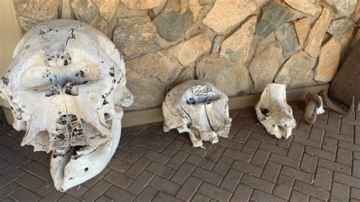 Ancient Rock Art Rewrites History