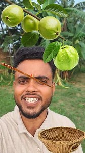 2.4M views · 24K reactions | Stick guava puzzle #stick #fbreelsfypシ゚ #guava #puzzle #fbreelsfypシ゚viralシ #challenge #viralreelsシ #fbpost2025シ | Facts Mind 99 | Facebook