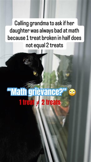 Grandma’s "Math Grievance" is Oreo’s biggest problem 😹🧮 #shorts