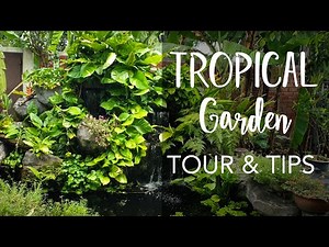 Tropical Garden Tour with 8 Gardening Tips | Heliconias, Ferns, Herbs, Fish Pond and More!