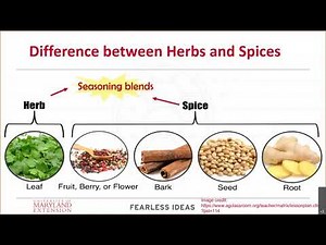 Capture the Flavor- Herbs and Spices