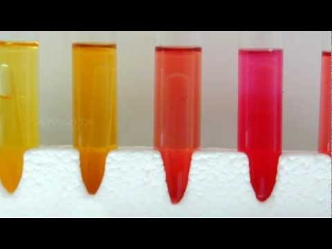 Urease Test - Amrita University