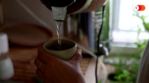 115K views · 1.5K reactions | Interior designer Caroline Putz and engineer Corentin de Chatelperron’s ‘flat of the future’ is a low-tech living space, complete with a casserole pot powered by solar panels, compost transformed by fly larvae and mushroom farms | Reuters | Facebook