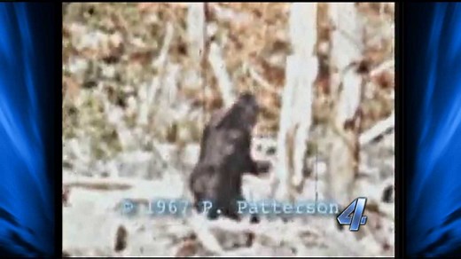 10 urban legends in South Carolina