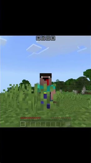 Minecraft but Day and night !?