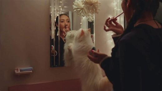 Ross TV Spot, 'Holidays: Optimus'