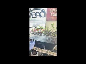 Aeroponic Cloner Explained