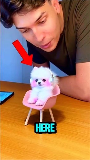 3 SMALLEST DOGS IN THE WORLD!!😱