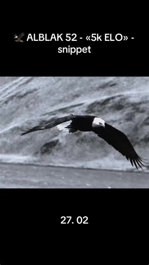 🦅 ALBLAK 52 - «5k ELO» - snippet 27.02 #nogletchergang #812 #alblak52 #рекомендации #52
