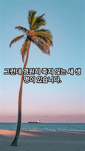 42-7. 영원히 죽지 않는 새 생명