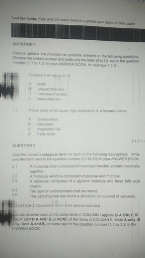 Test for lipids: Fats and oils leave behind a grease spot stain... | Filo