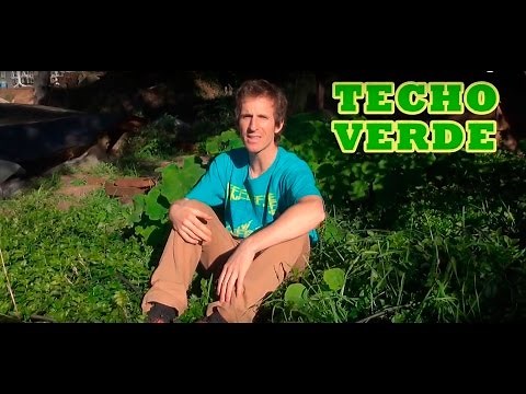 Techo verde