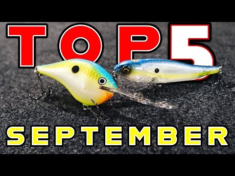 Top 5 Baits For September Bass Fishing!