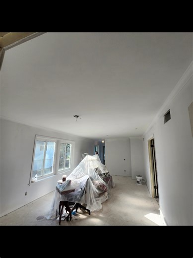 Level V Remodeling on TikTok