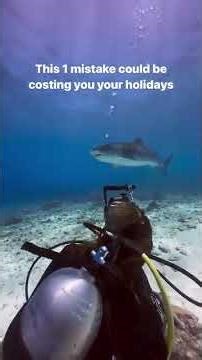 You Don't Need Expensive Gear to Capture Your Dives. Every Budget Has an Underwater Camera Option.