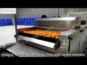 Sorting & Grading machine for fruits and vegetable.