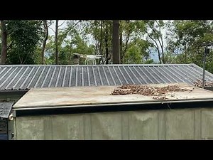 Cleaning the Roof and Gutters with a DJI Drone - Better than a leaf Blower